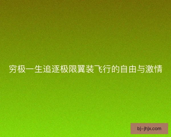 穷极一生追逐极限翼装飞行的自由与激情