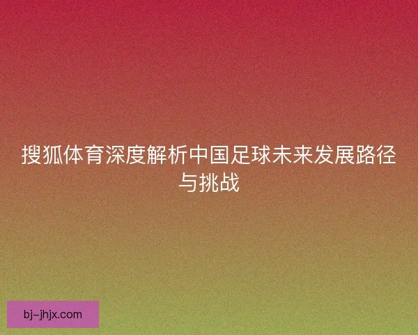 搜狐体育深度解析中国足球未来发展路径与挑战
